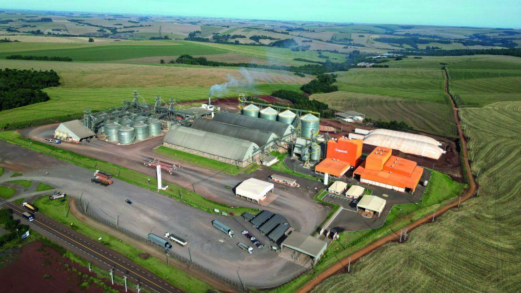 estruturas agrícolas