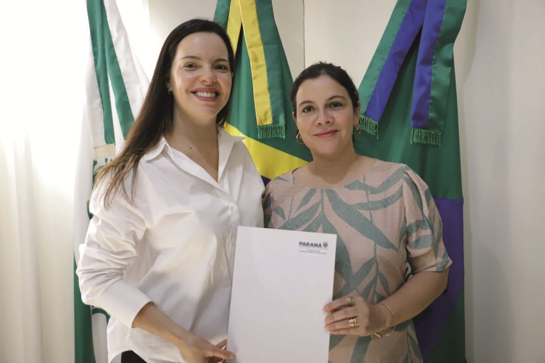 assistência social