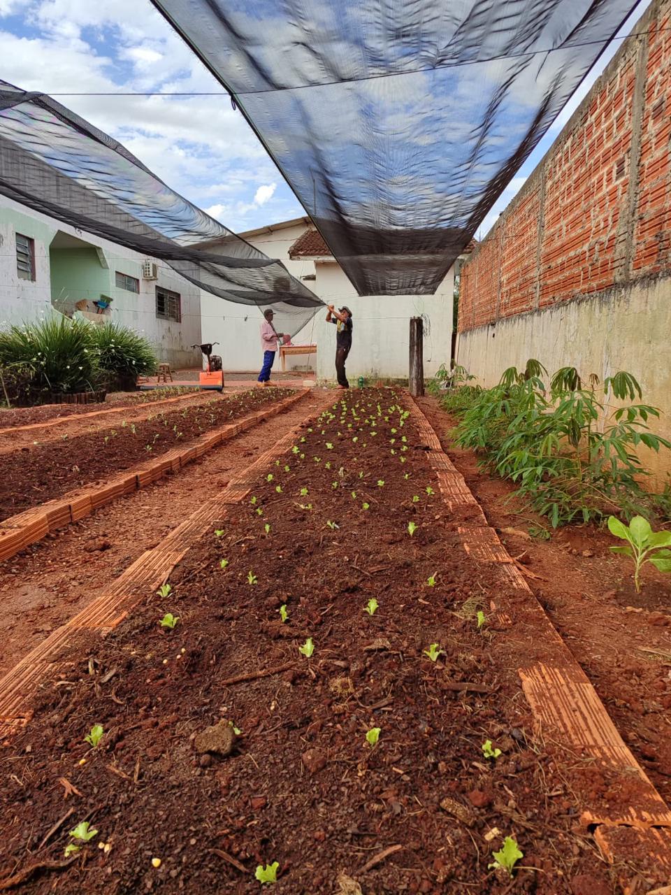 Oficina de Horta promove aprendizado e incentivo à alimentação saudável no CRAS de Iracema do Oeste